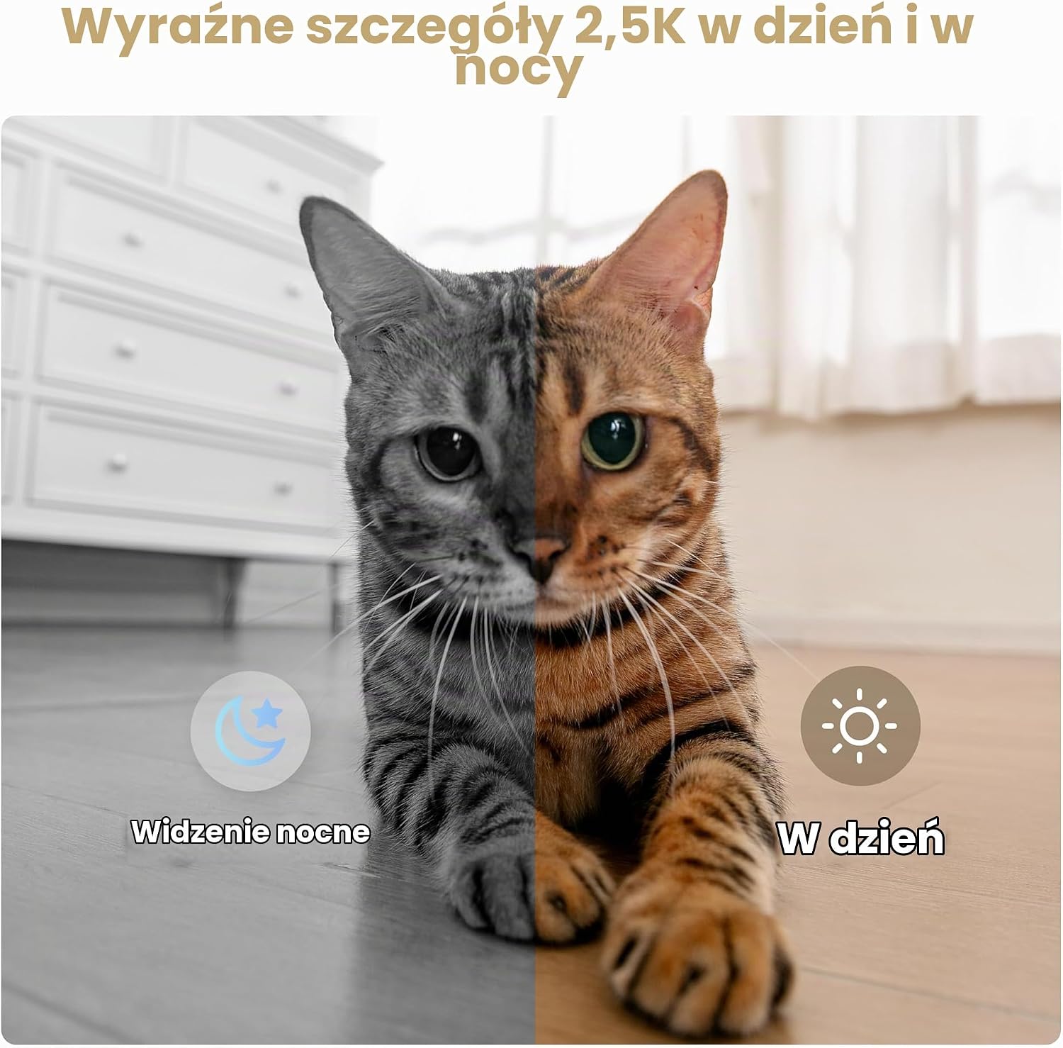 Detalle 1 de Enabot EBO Air 2S FamilyBot – mobilna kamera 2,5K z dwukierunkowym dźwiękiem