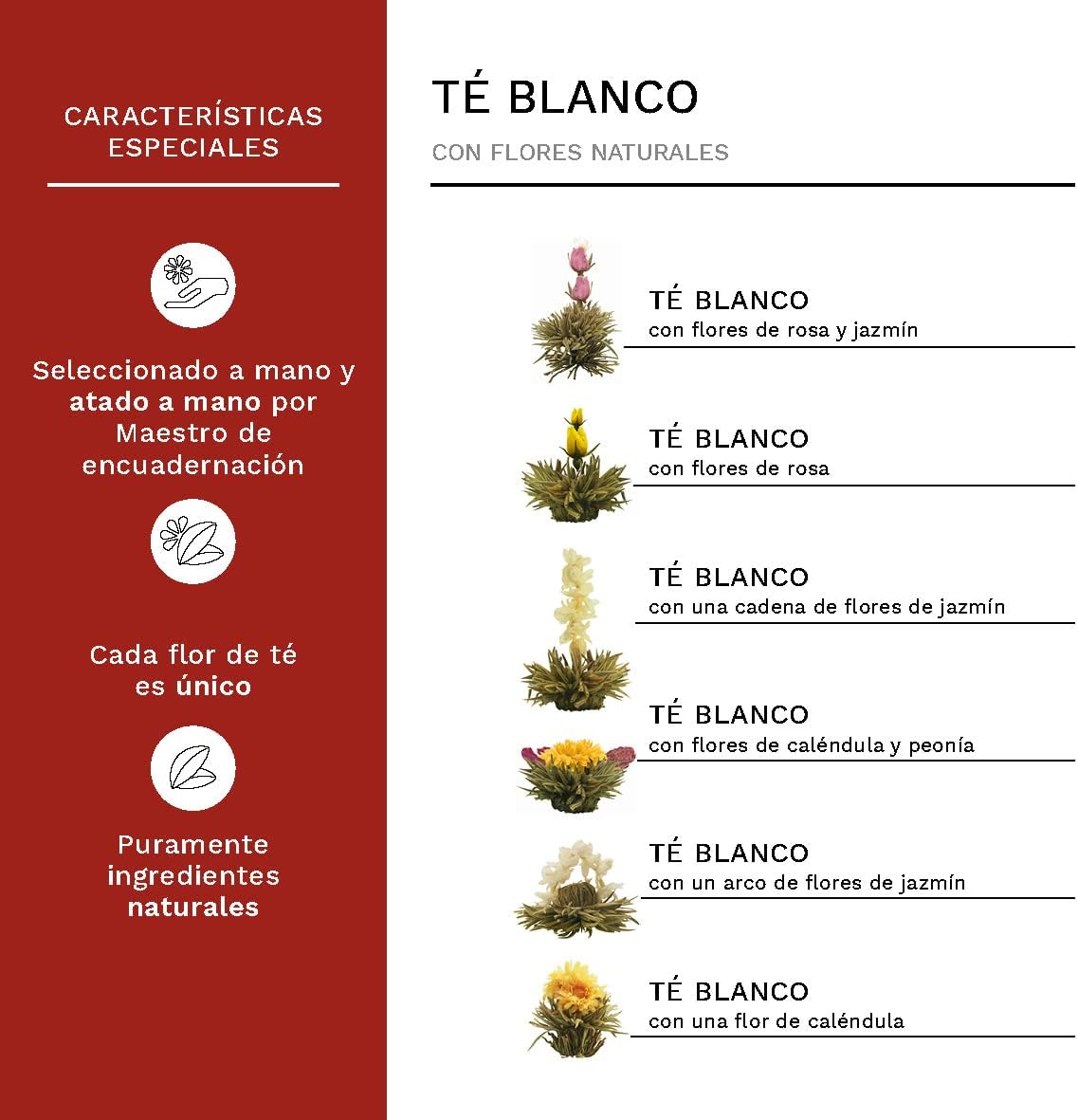 Thumbnail 3 de Creano Té Flowers Regalo con 12 Flores Magnéticas 🌸