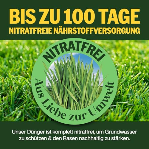 Thumbnail 6 de SUPERGREEN Herbst- & Kalium-Rasendünger Langzeit bis 100 Tage – 5 kg für 250 m², NPK 5-10-22, nitratfrei