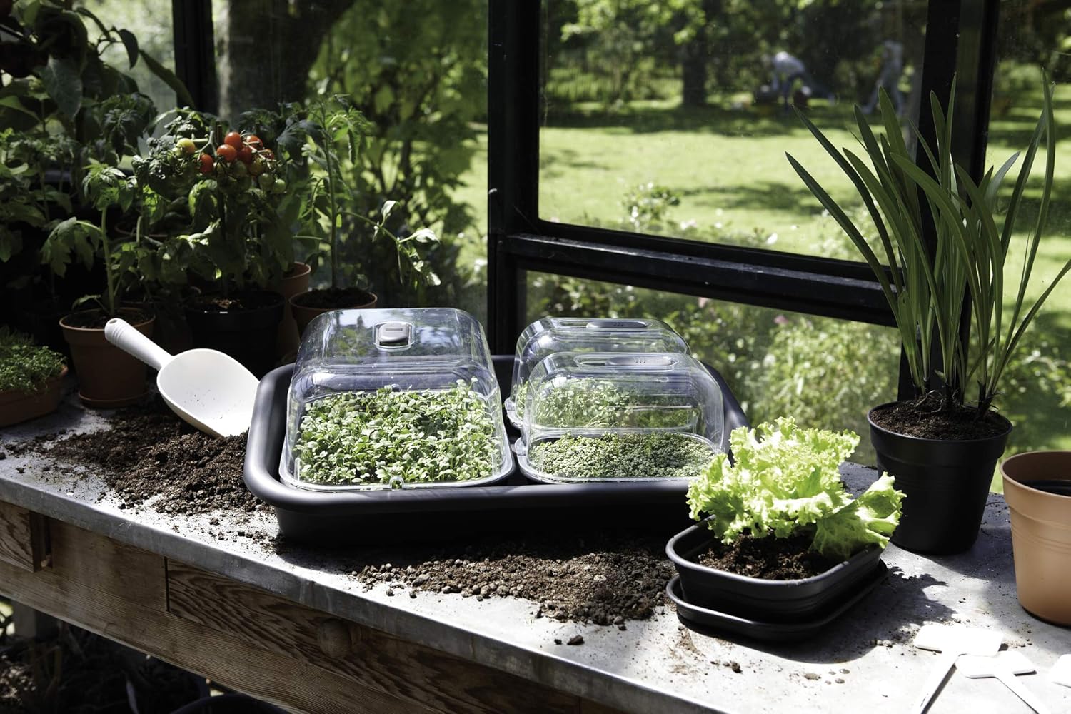 Detalle 2 de Elho Green Basics Bandeja de Cultivo M 36x26 🌱