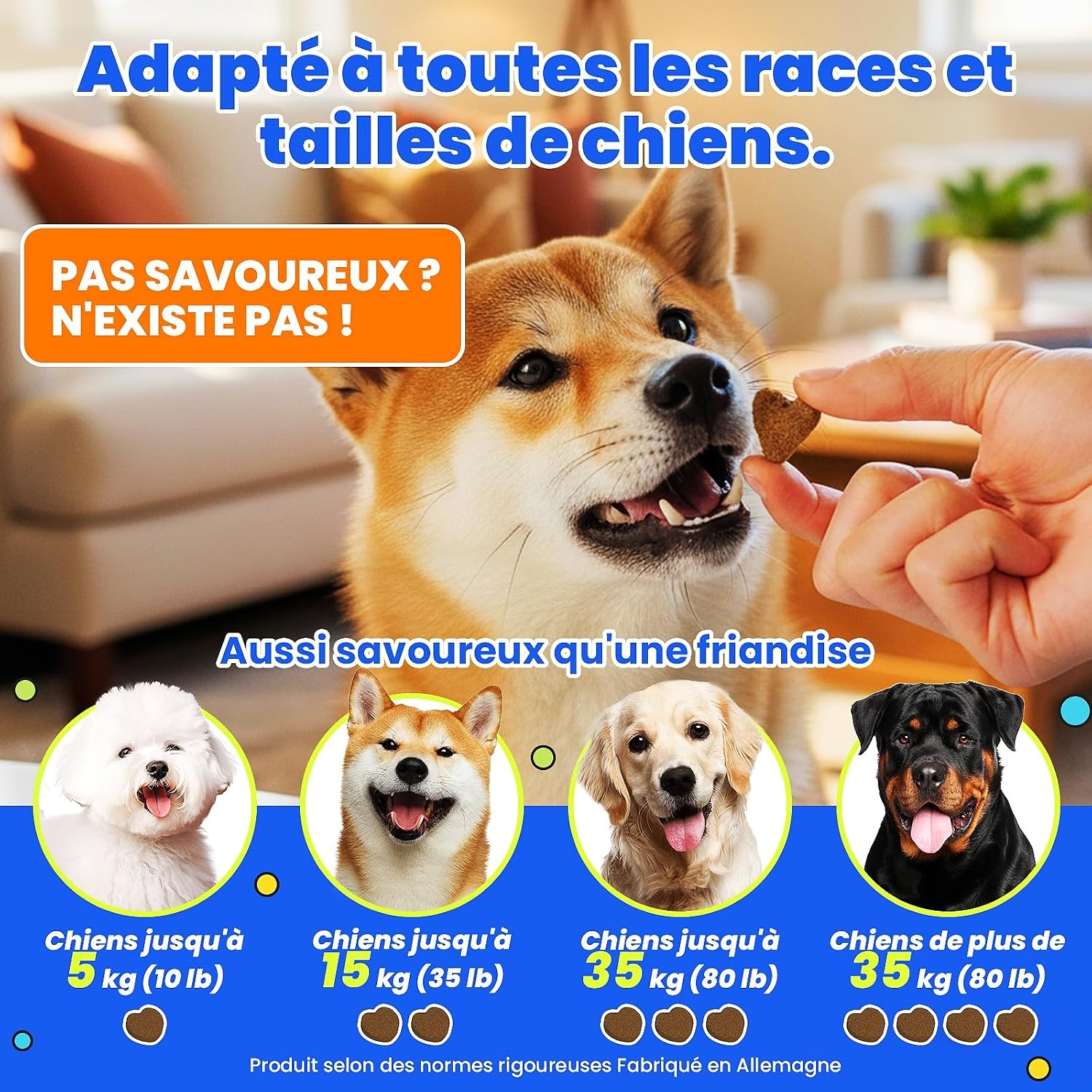 Thumbnail 6 de IEDPET probiotique chien, probiotica voor honden met prebiotica, 500 g
