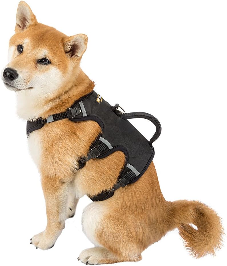 Detalle de Ferplast Harnais pour Chien Moyen ERGOTREKKING Medium – Anti-évasion, Réfléissant et Confort