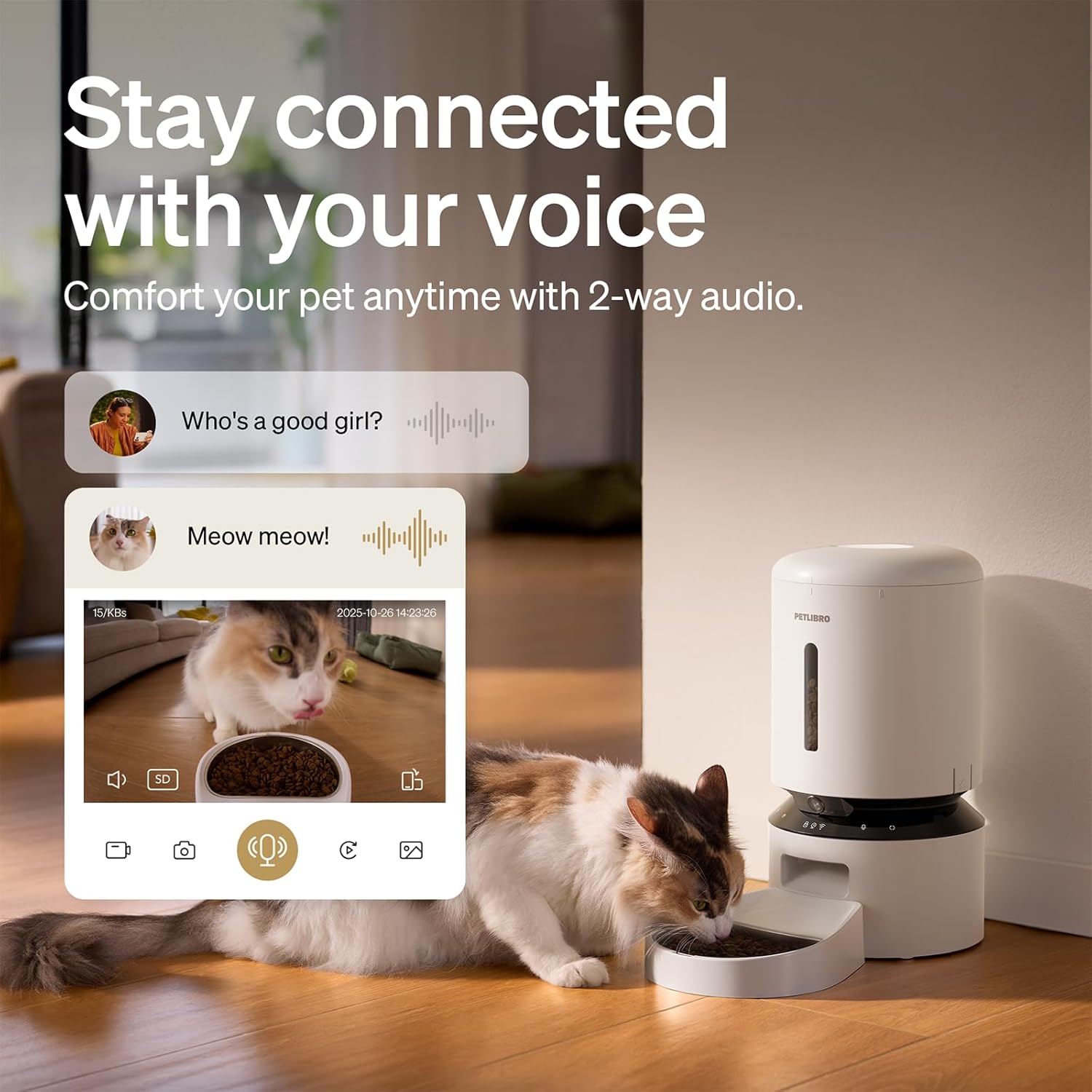 Thumbnail 4 de PETLIBRO Automatic Cat Feeder 1080p