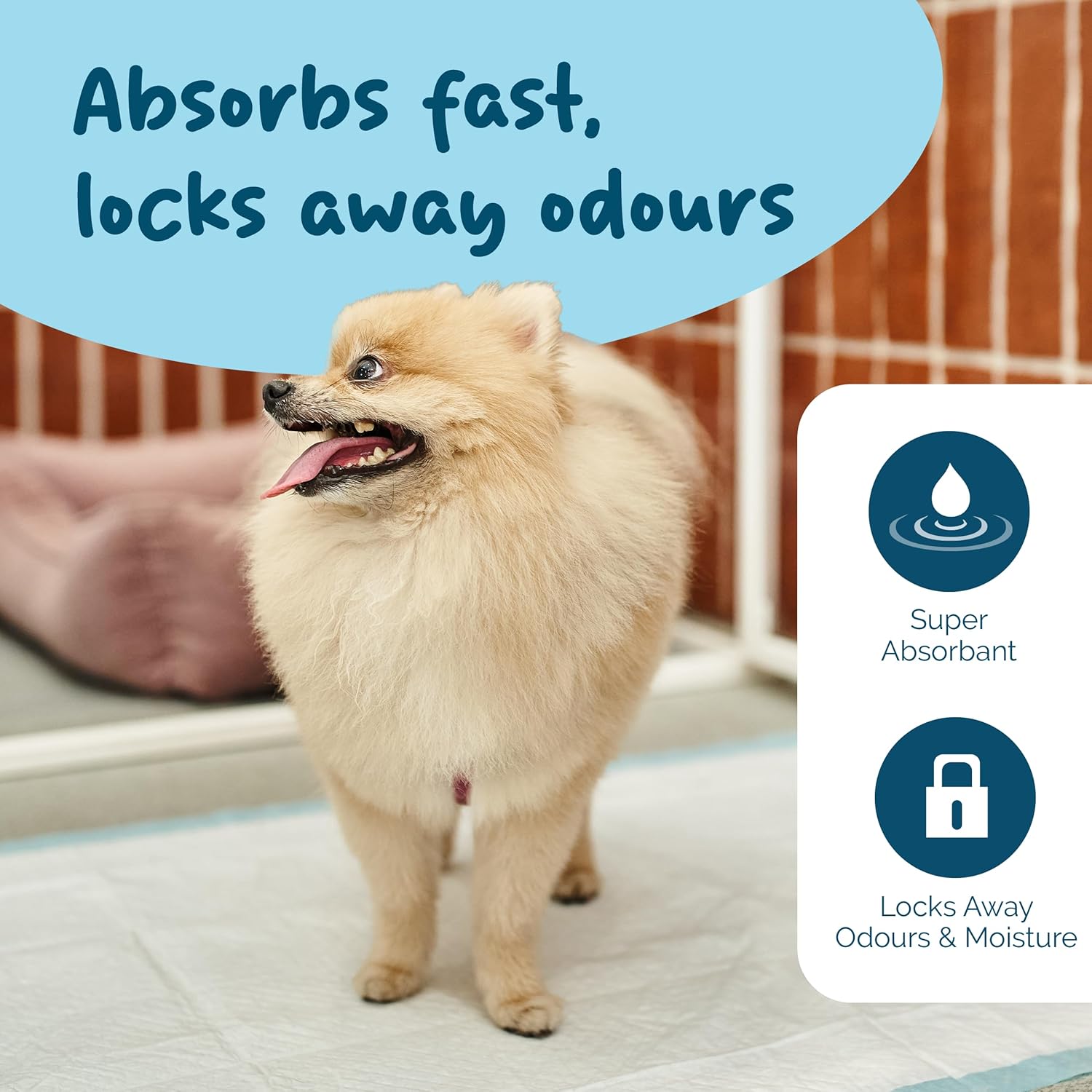 Thumbnail 4 de Petsentials Leakproof, Quick Dry disposable training pads (105-pack) for dogs & puppies