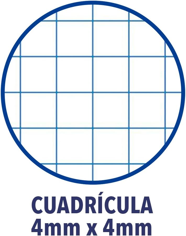 Thumbnail 1 de Oxford Cuadernos A4 cúadrícula 4x4 80 hojas Pack 5