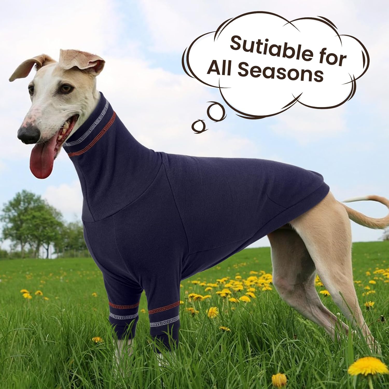 Thumbnail 5 de OUOBOB Greyhound dog sweater – Italian coat-style turtleneck knit for large sighthounds (XXL)