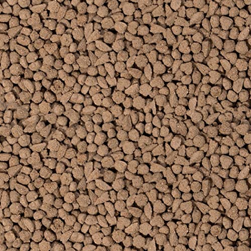 Detalle 2 de BEAPHAR Care+ pienso para conejo 1,5 kg 🐇