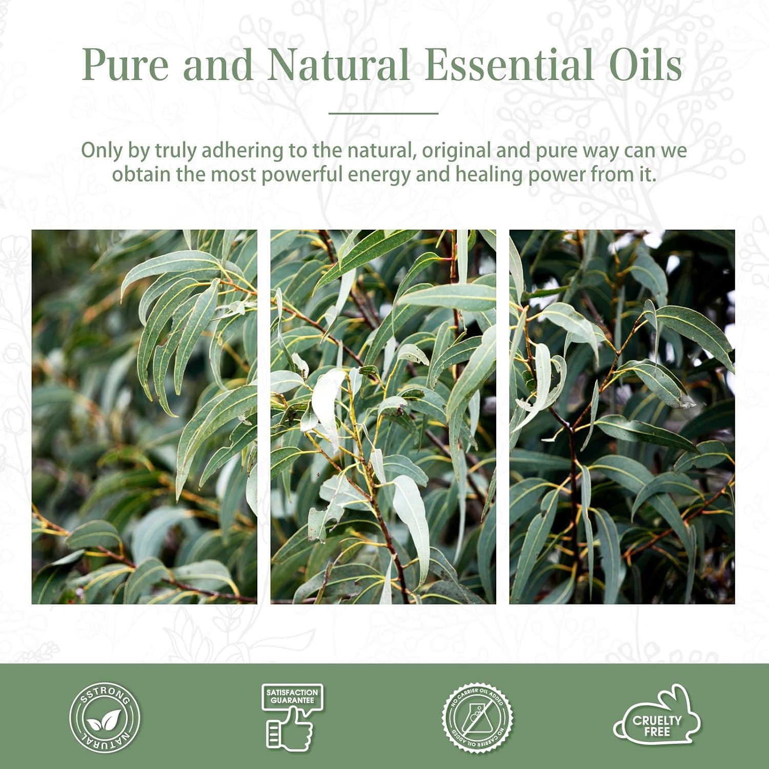 Detalle de PHATOIL Eucalyptus Essential Oil 100 ml — Aromatherapy