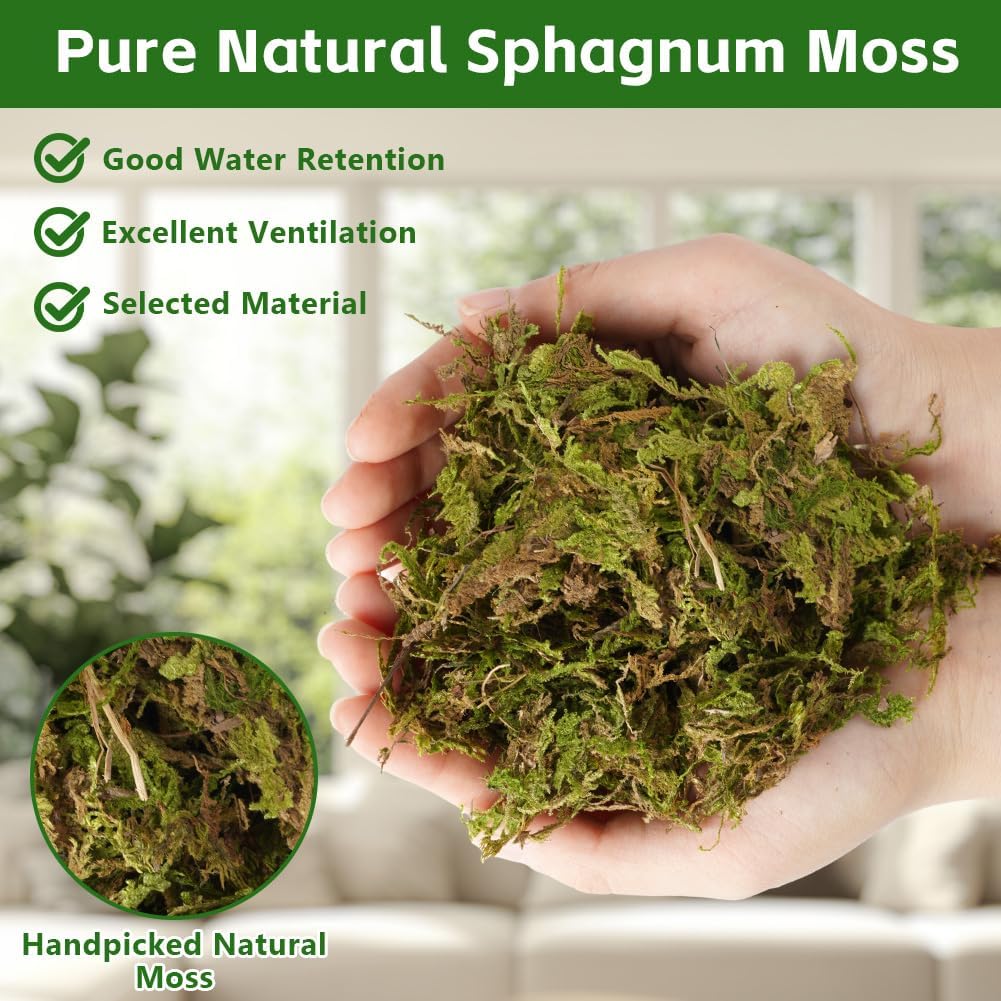 Thumbnail 4 de OFFCUP Sphagnum Moos 1000g für Pflanzen