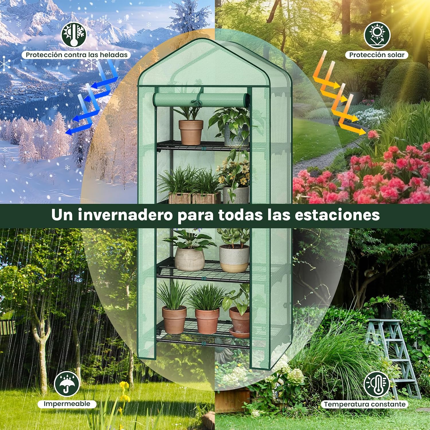 Thumbnail 2 de WOLTU Invernadero móvil 70x50x162 cm