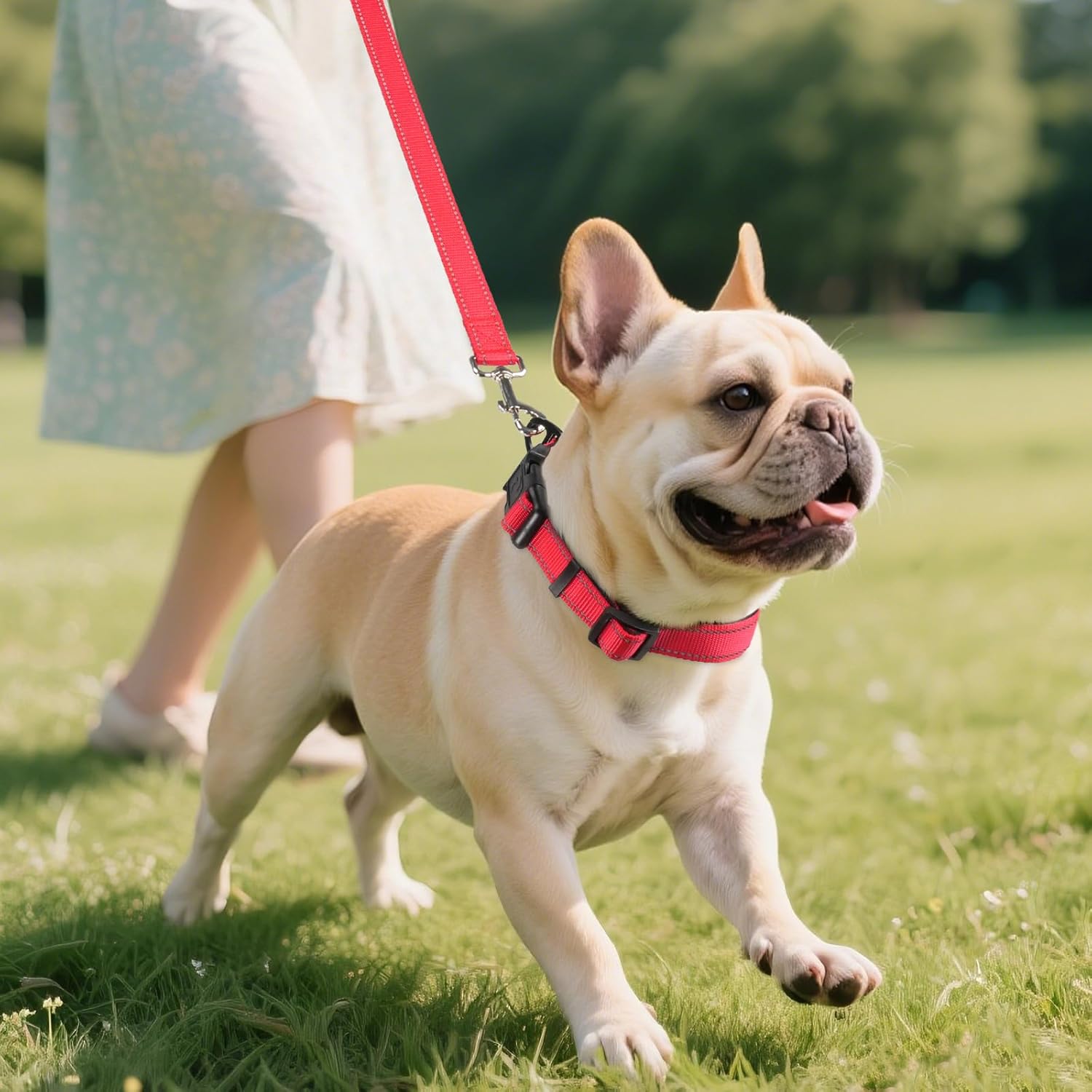 Thumbnail 5 de Joytale Reflective Dog Collar S, 11-15 in