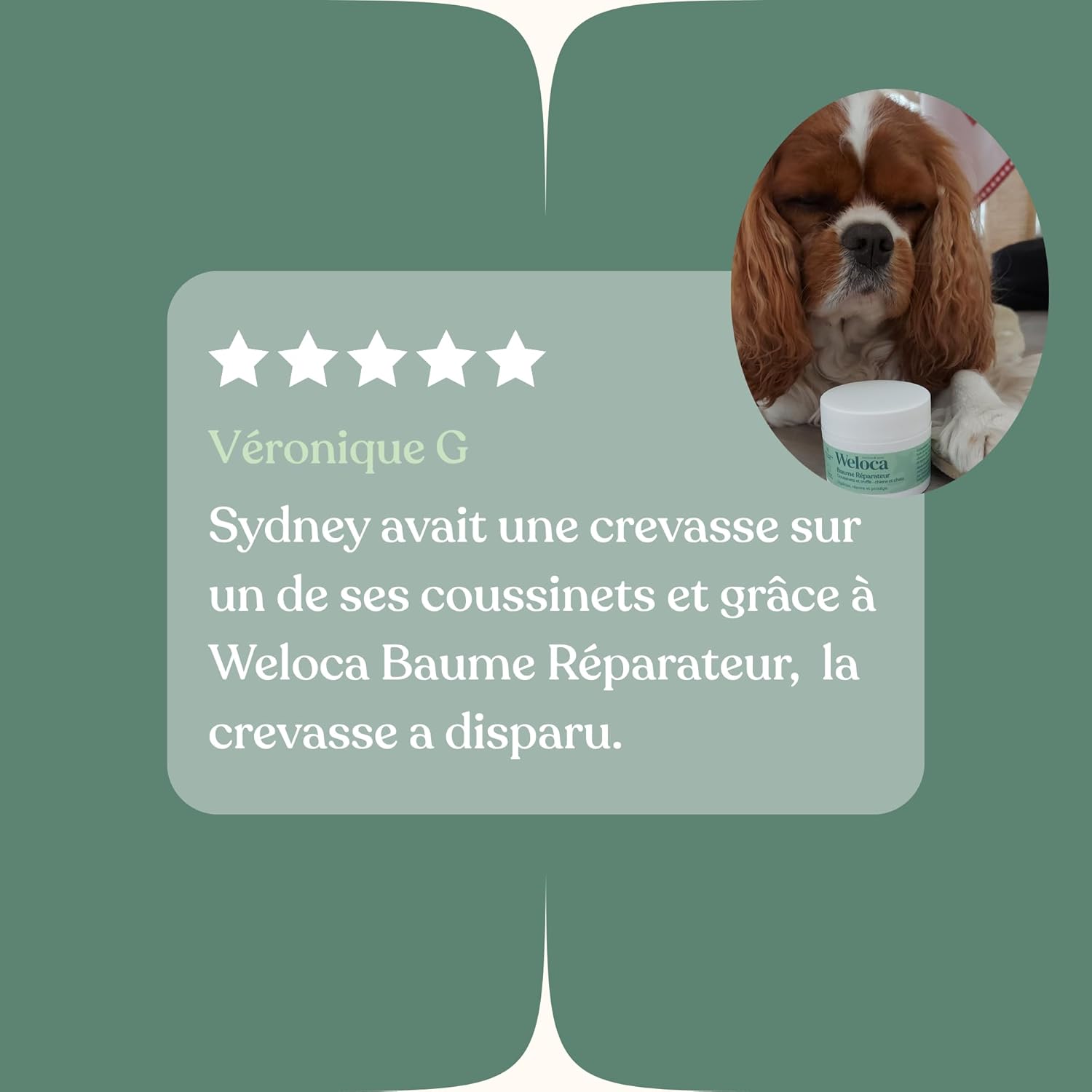Thumbnail 3 de Baume Coussinet chien – Répare, hydrate et protège les coussinets et la truffe, 50 ml, 100% naturel