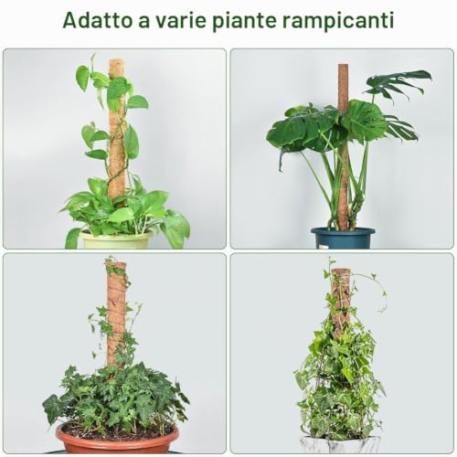 Thumbnail 6 de Vicloon Bastone per Piante con Bastoni Rampicanti in Fibra di Cocco, Set da 4 pezzi 40 cm
