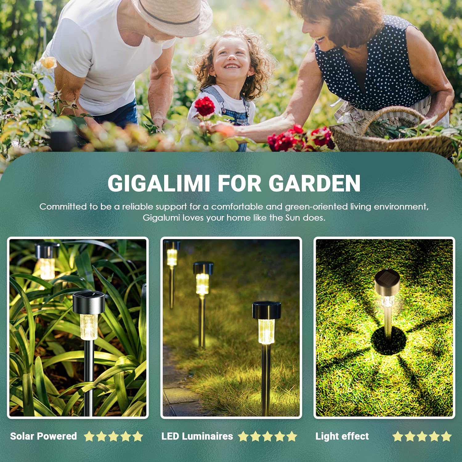 Thumbnail 1 de GIGALUMI Solar Garden Lights Outdoor – 16-Pack Stainless Steel LED, Warm White (IP44 Waterproof)