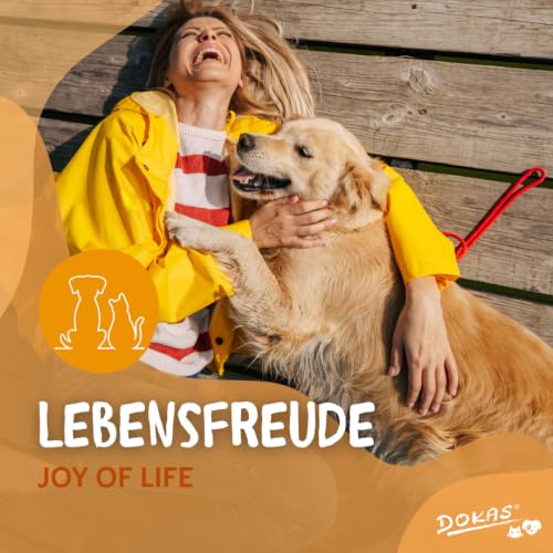 Thumbnail 6 de DOKAS Minis Getreidefreier Premium Snack für Hunde – 9 × 70 g