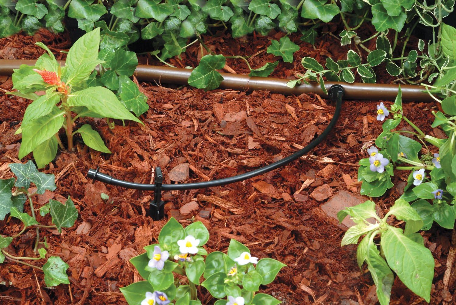 Detalle de Rain Bird drip irrigation tubing 1/4-inch