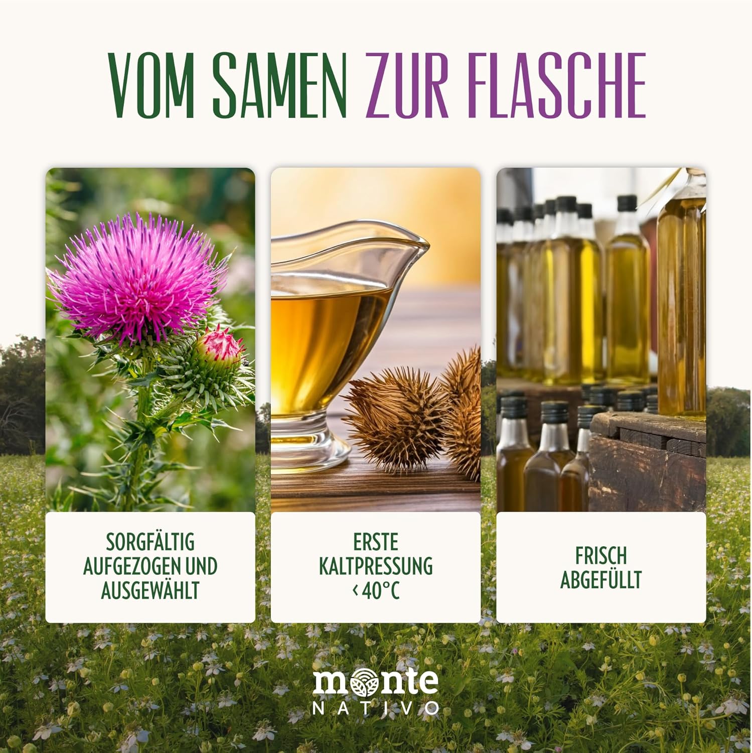 Detalle de Mariendistelöl Monte Nativo (2x500ml) – kaltgepresstes, natives Öl aus Mariendistelsamen