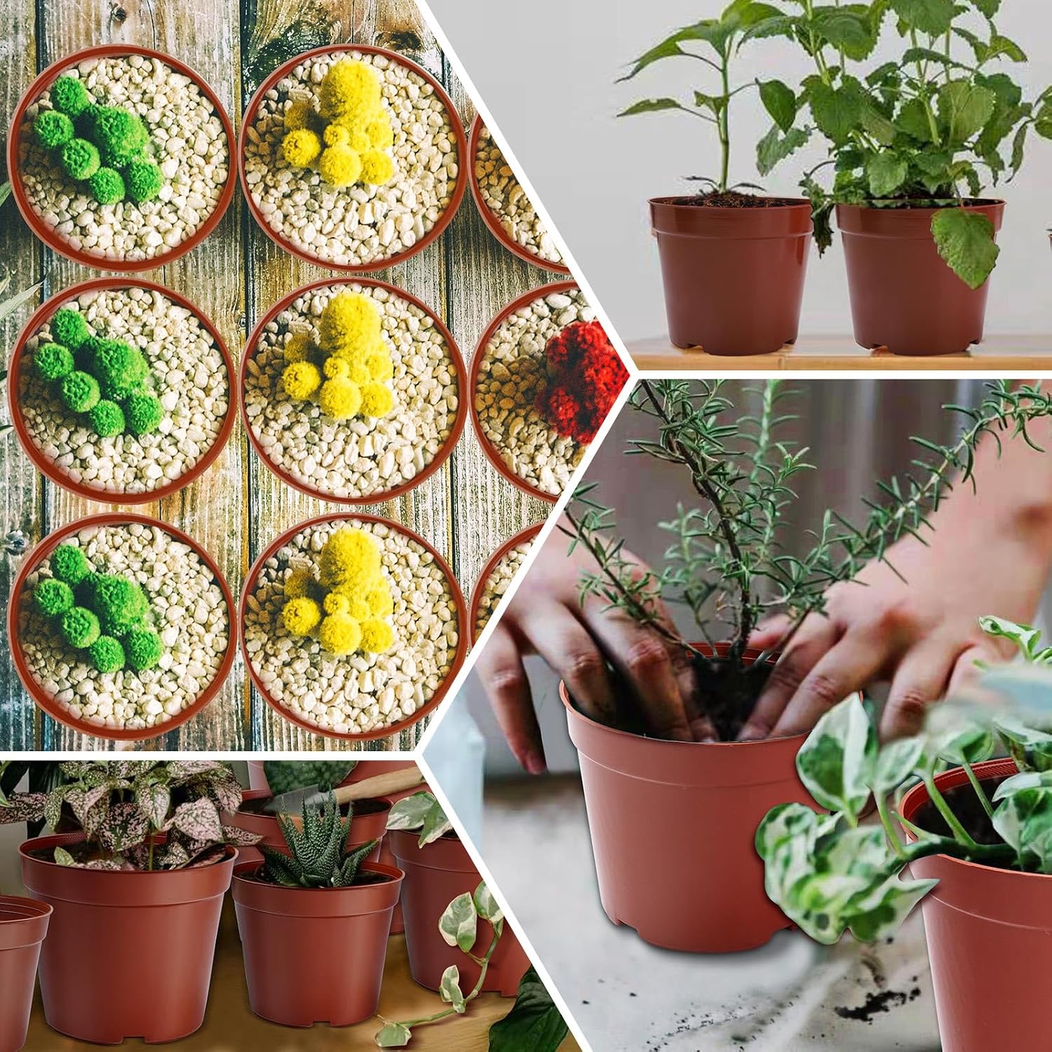 Detalle de Jordbrux nursery pots 8.5cm, 10 pack