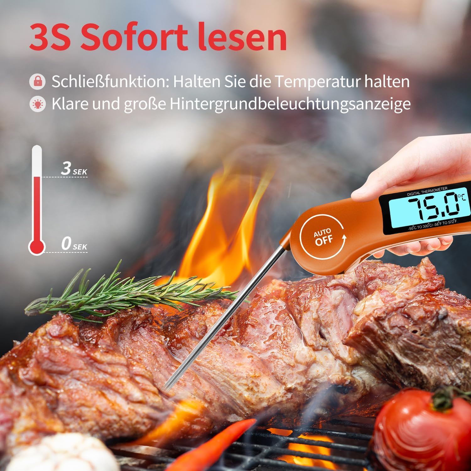 Detalle 2 de DOQAUS Grillthermometer 3s 🍖