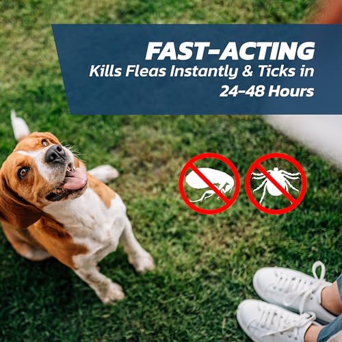 Detalle de Dog Flea Treatment Large Dog x 2 – Spot-on Flea & Tick Treatment for 20–40 kg