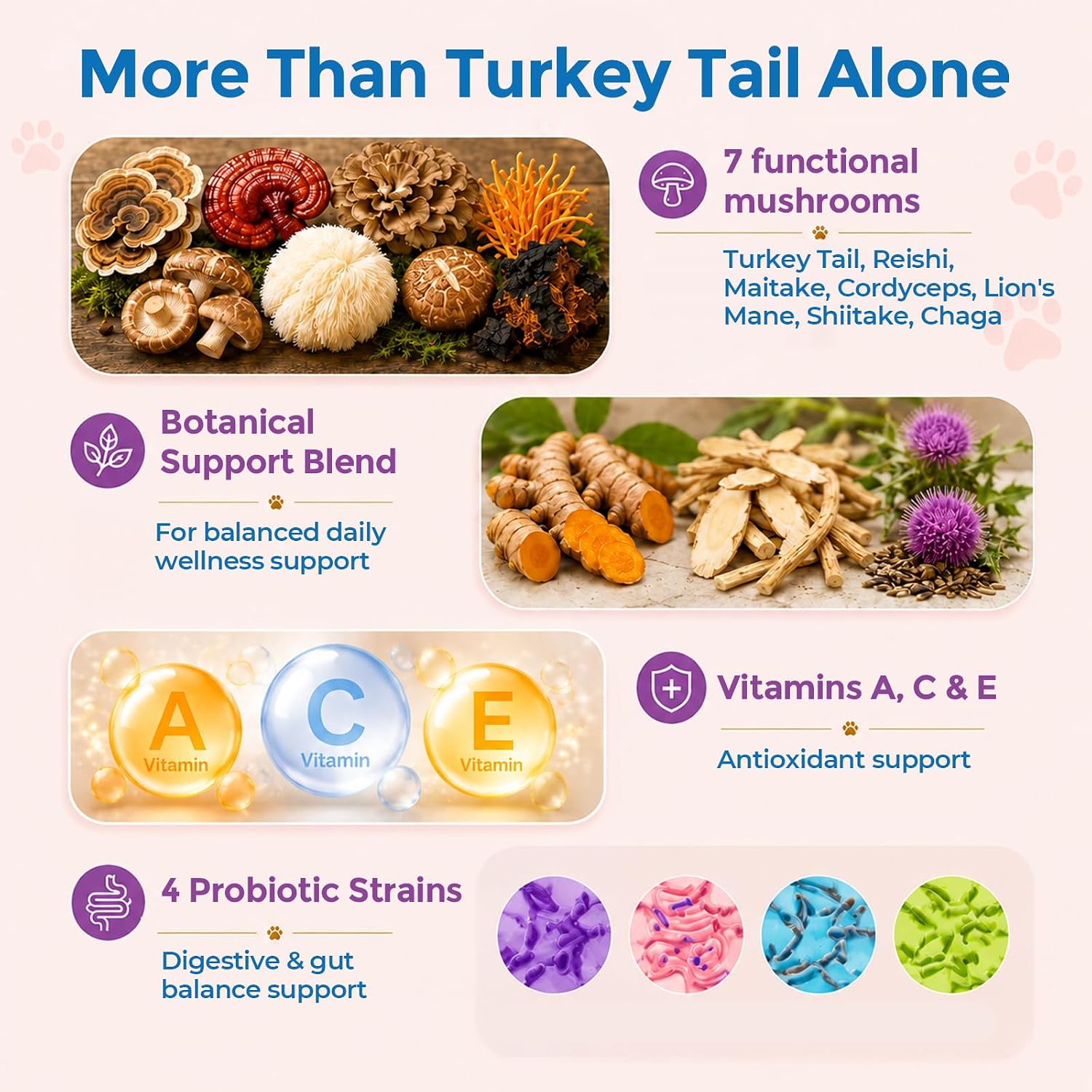 Detalle 1 de TailSphere Turkey Tail Mushroom Powder for Pets 180g