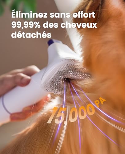 Detalle de oneisall Aspirateur Poil de Chien et Chat – Puissance 12000Pa et 4 Accessoires, 1,5L