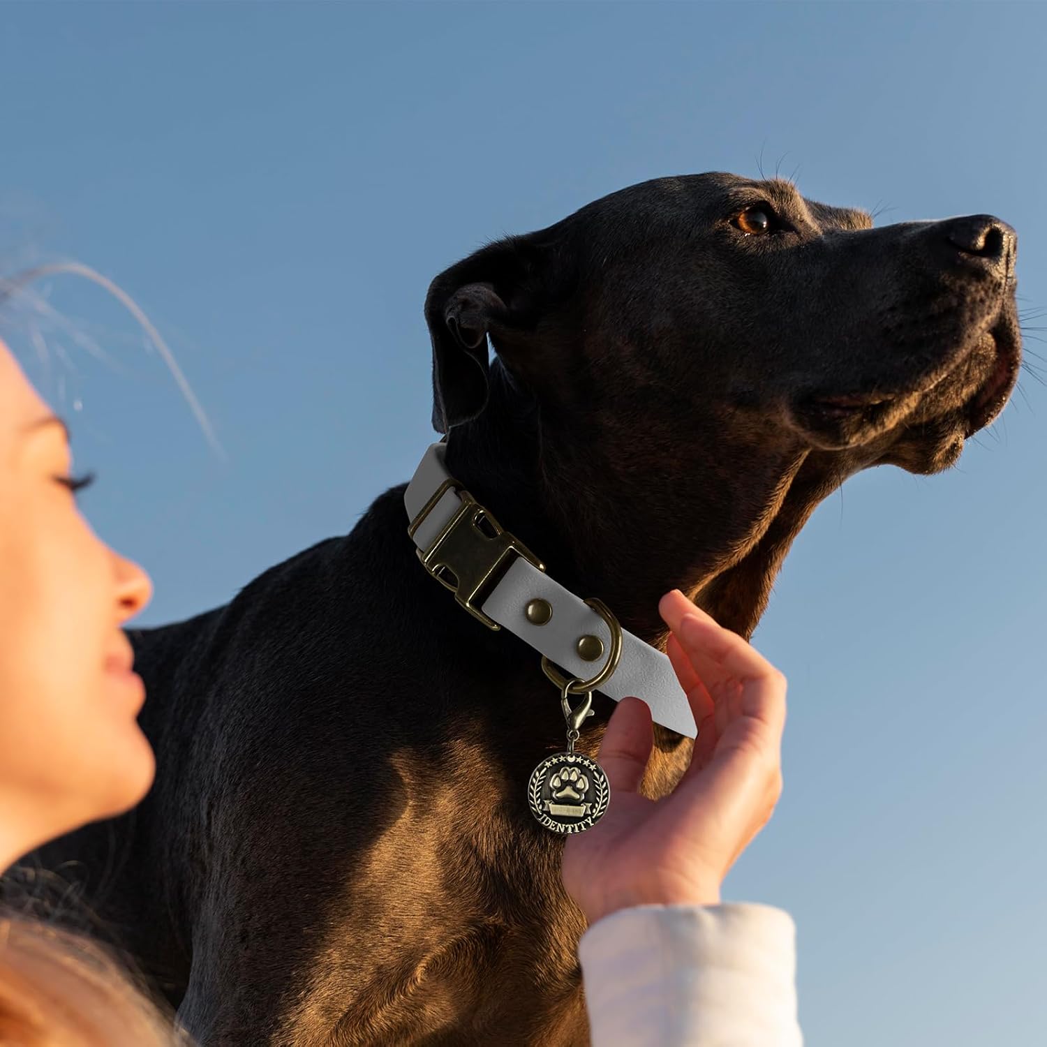 Detalle de Wisedog Dog Collar, XS 8.5"-12