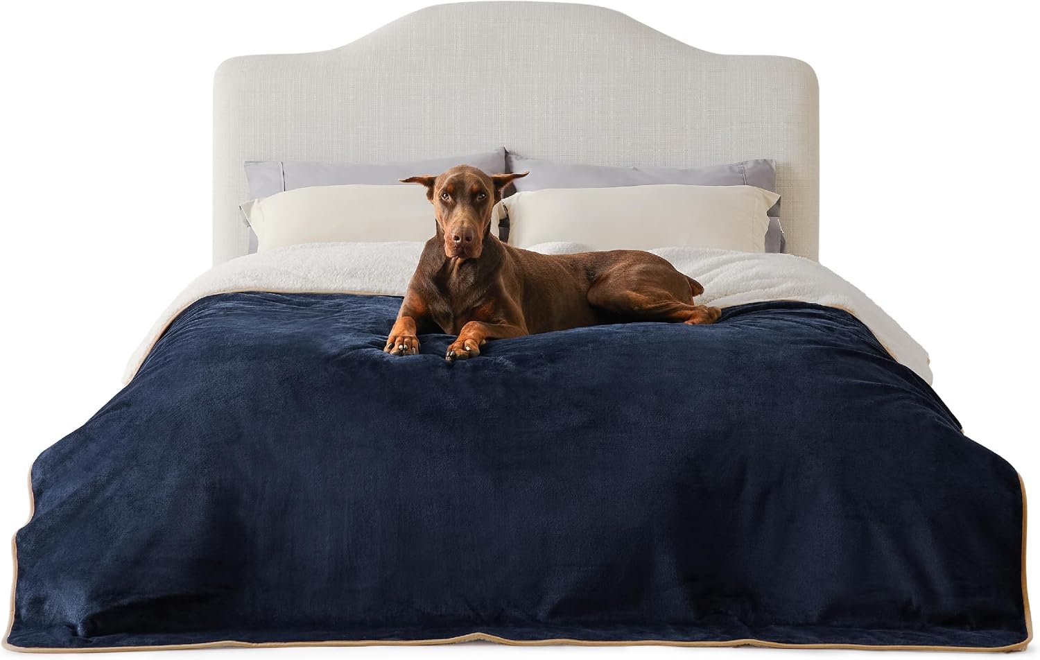 Detalle de LE SURE Waterproof Fleece Blanket 274x218cm