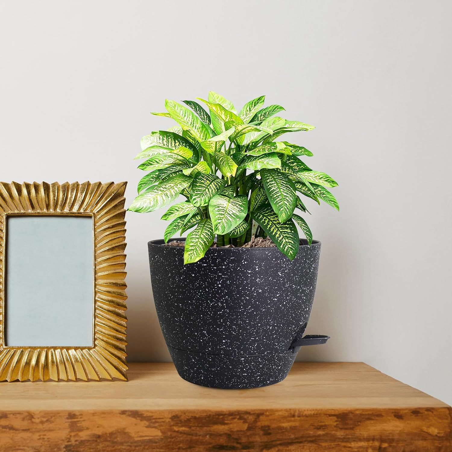 Thumbnail 6 de WSMKSZ Self-Watering Planters, 10-Inch