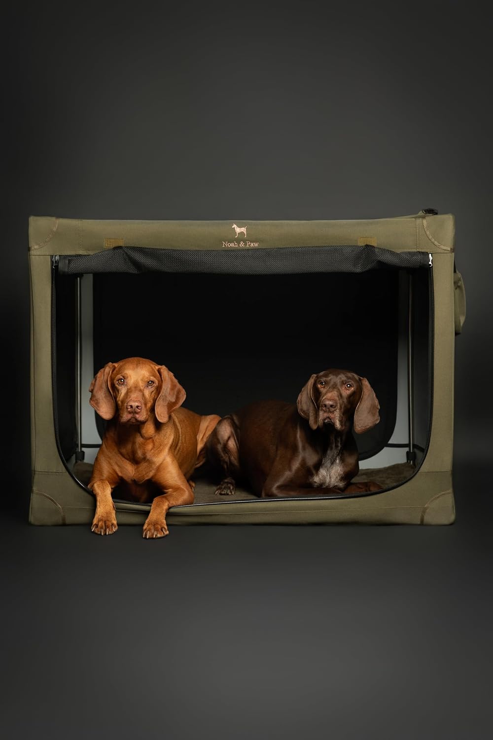 Thumbnail 1 de Noah & Paw Collapsible Dog Crate 36 Inches XL: Travel Kennel with Mat, Storage Pockets and 10mm Zips