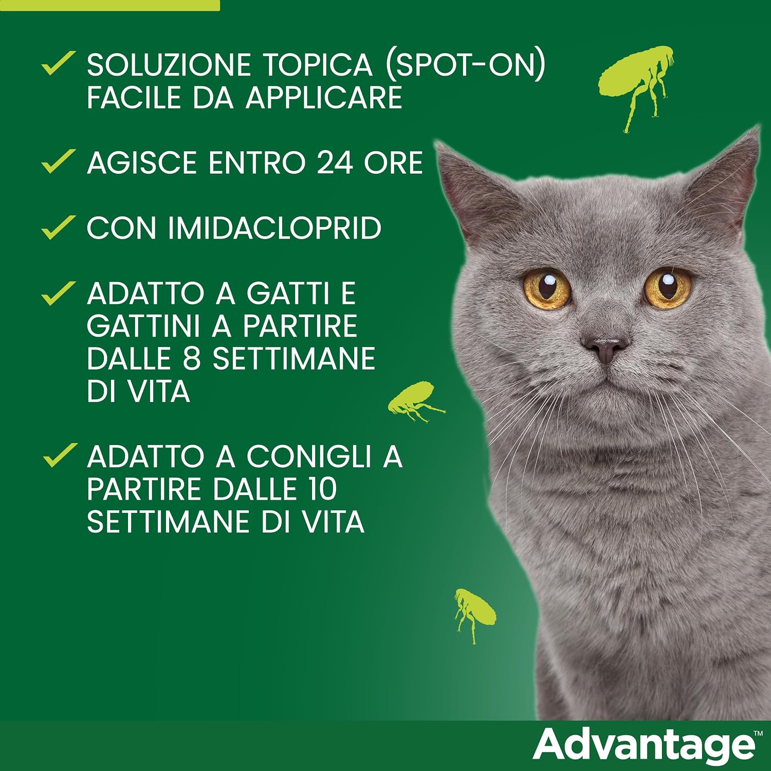 Detalle de Advantage spot-on per gatti grandi (4 pipette) – Trattamento antipulci Elanco