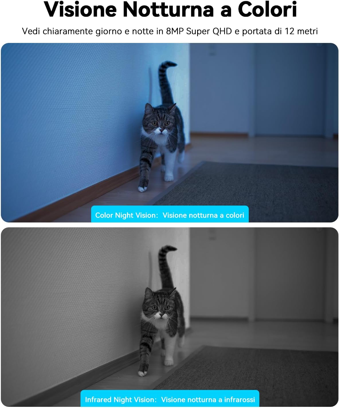 Thumbnail 4 de Blurams 4K Telecamera Wi-Fi Interno