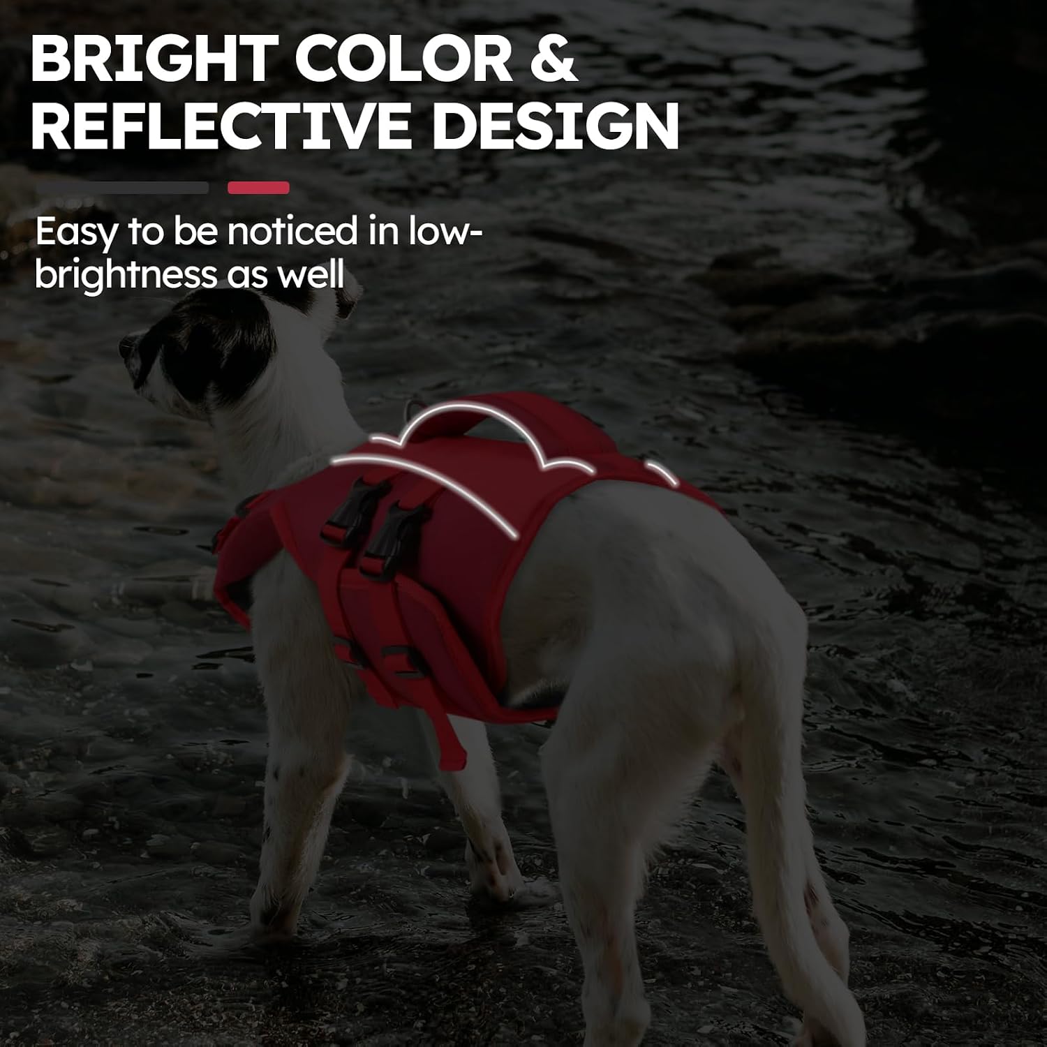 Detalle de Queenmore Large Dog Life Vest: Reflective, Adjustable & Easy Rescue Handle (XXL, Red)