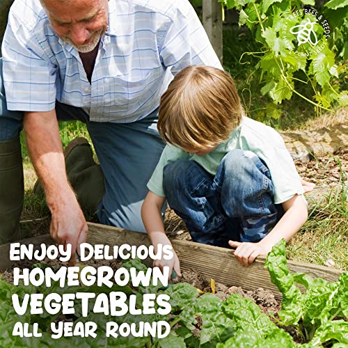 Detalle de Vegetable Seeds Kit for Planting – 15 Heirloom Varieties, UK Sourced, Easy to Grow
