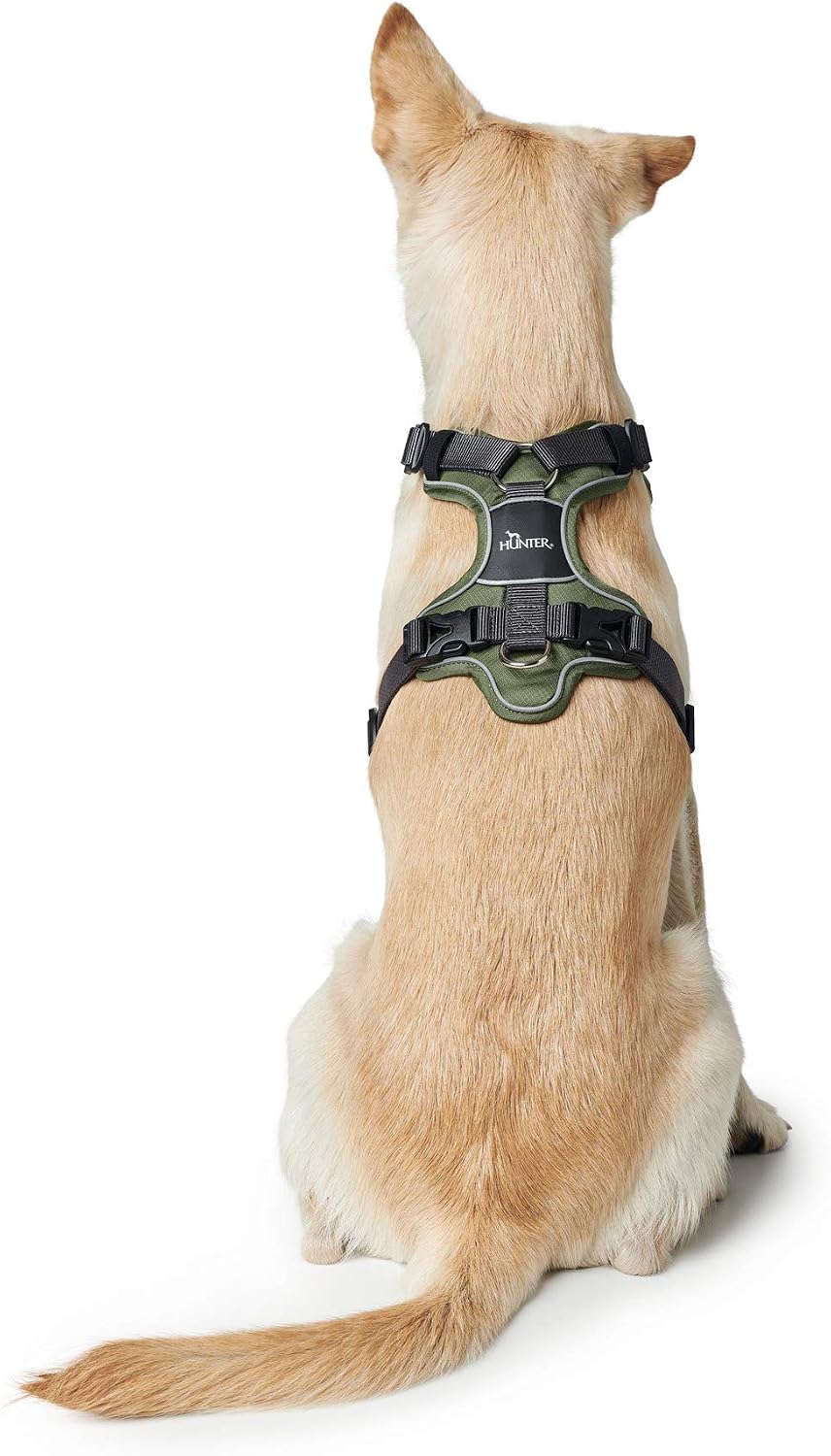 Thumbnail 4 de Hunter Hundegeschirr Grün/Grau 45-56 cm