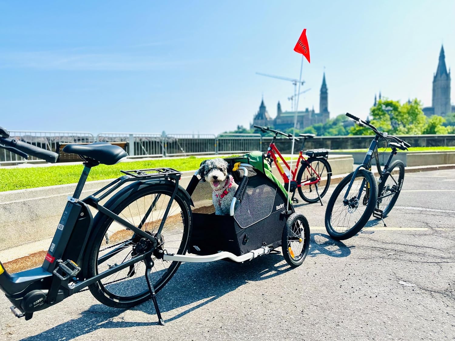 Detalle de Burley Tail Wagon 自転車用ペットトレーラー、メッシュ窓・洗える床・折りたたみ式