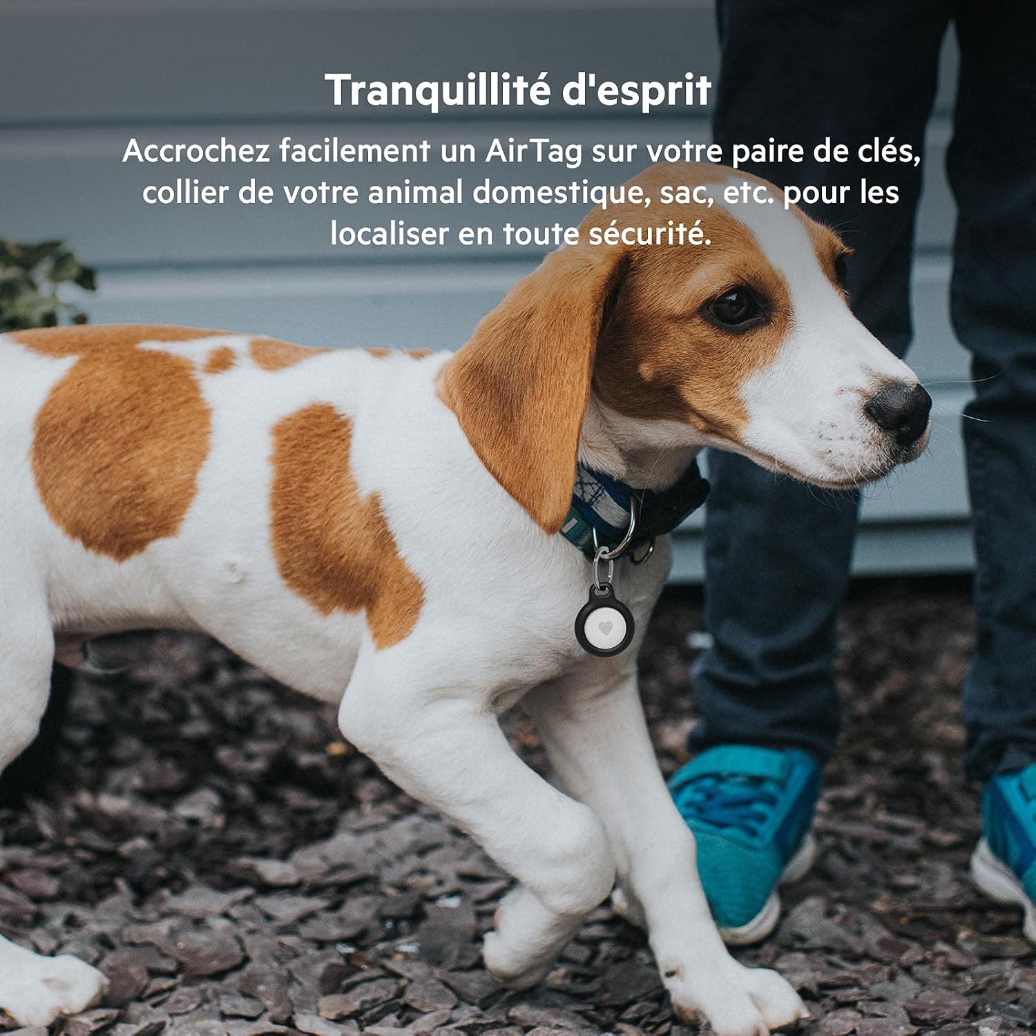 Detalle 2 de Belkin Anneau de protection pour AirTag pack 2 🧷