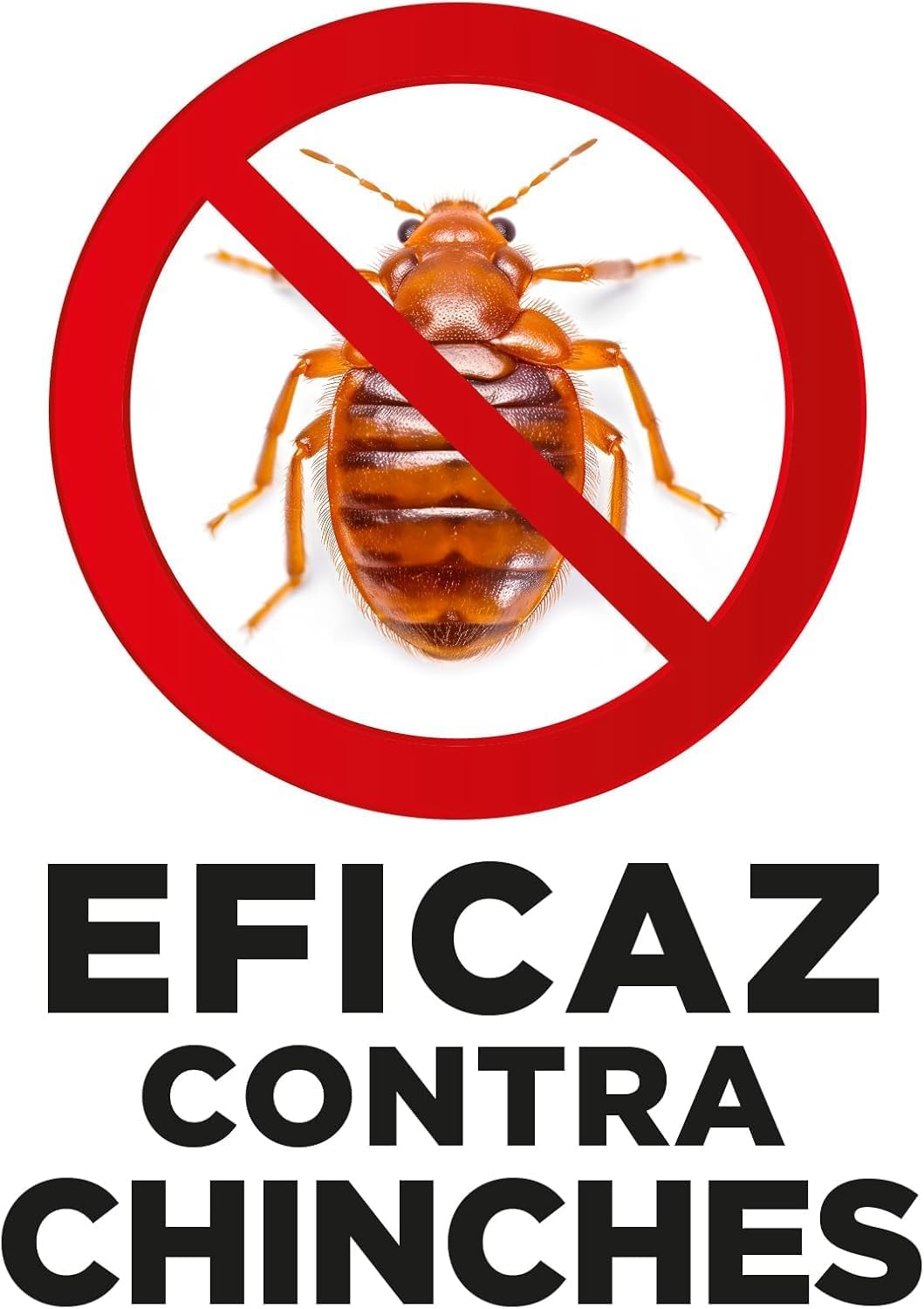 Thumbnail 5 de Orion Aerosol Insecticida Sin Odor para Cucarachas y Hormigas 🐜