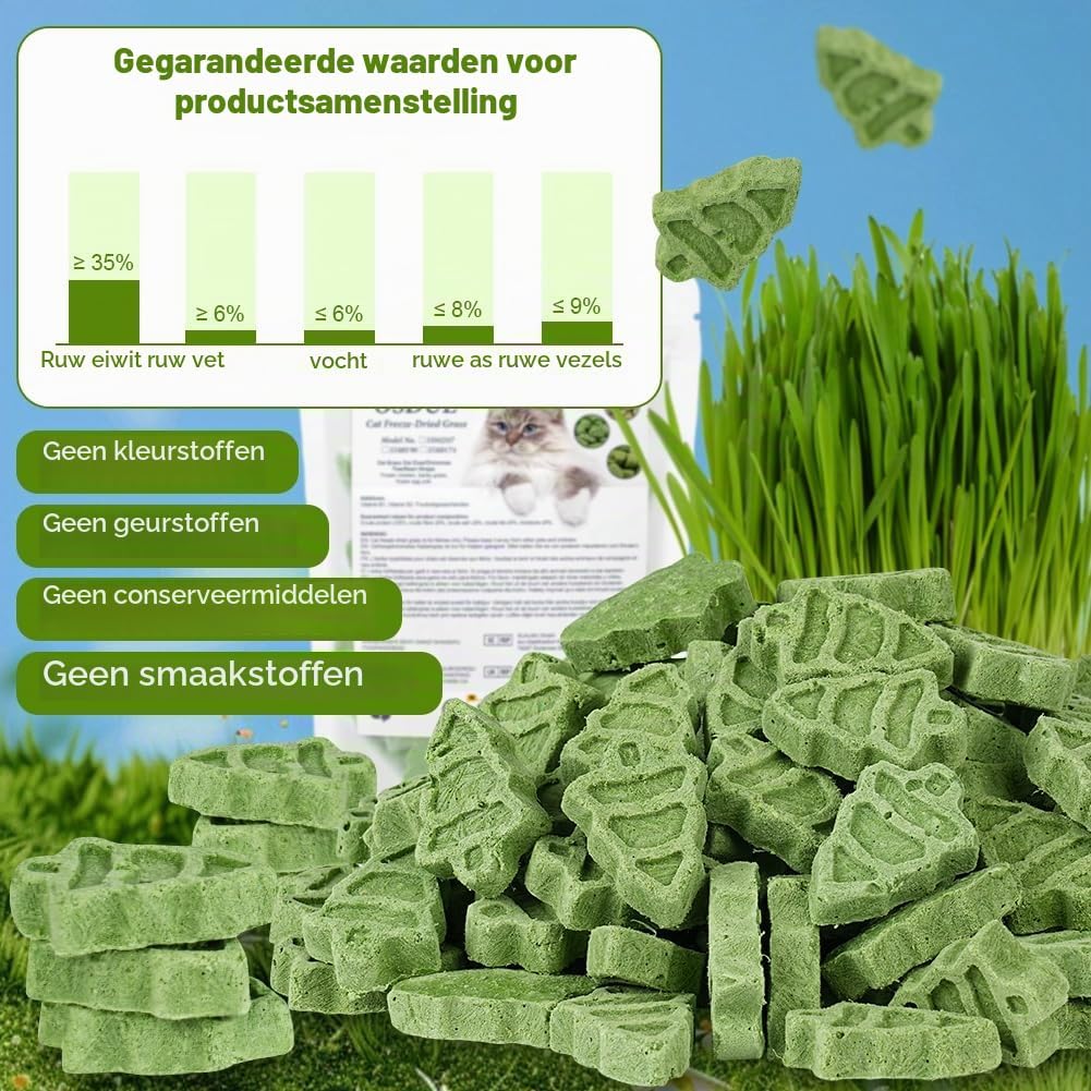 Detalle 2 de OSDUE 5580190 kattensnack met kattengras, gevriesdroogd met kip en eigeel
