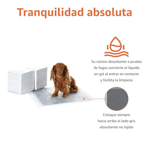 Thumbnail 3 de Amazon Basics Almohadillas de adiestramiento para perros y cachorros (80 unidades) de carbón, 5 capas y a prueba de fugas