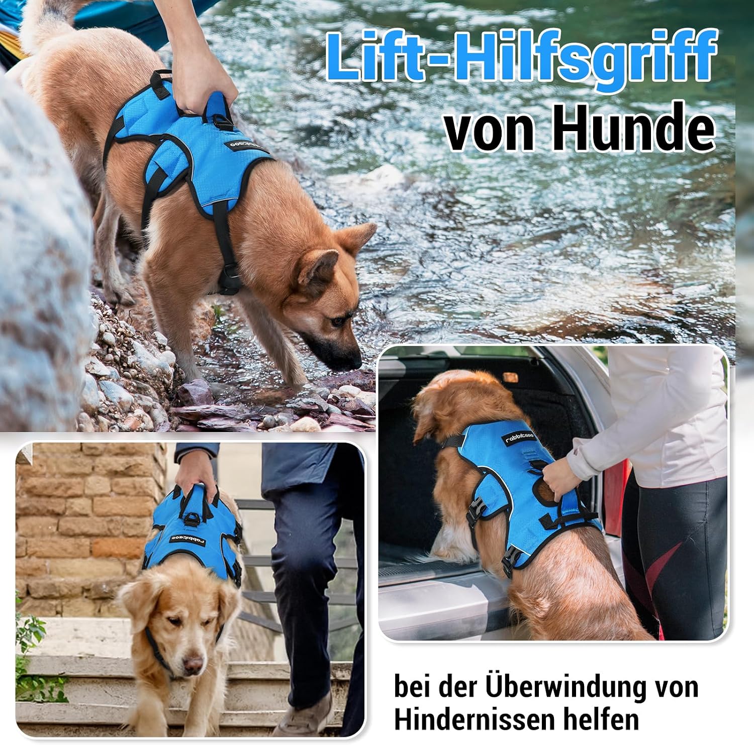 Detalle 2 de rabbitgoo Ausbruchssicheres Hundegeschirr mit Griff, gepolstert – Größe L (blau)