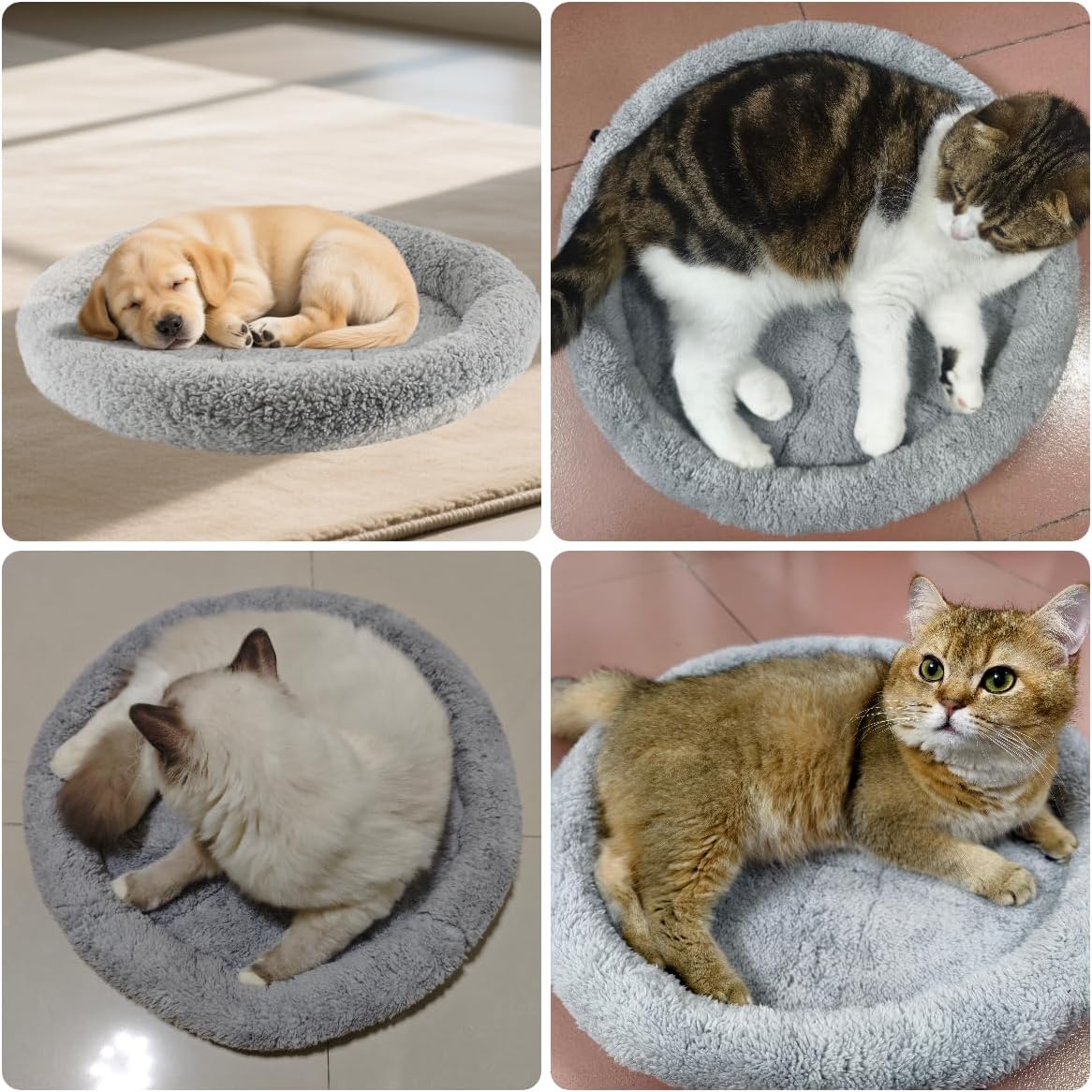 Detalle de PETLESO Round Cat Bed: Soft Plush Cushion for Cats and Small Dogs (19.5” diameter)