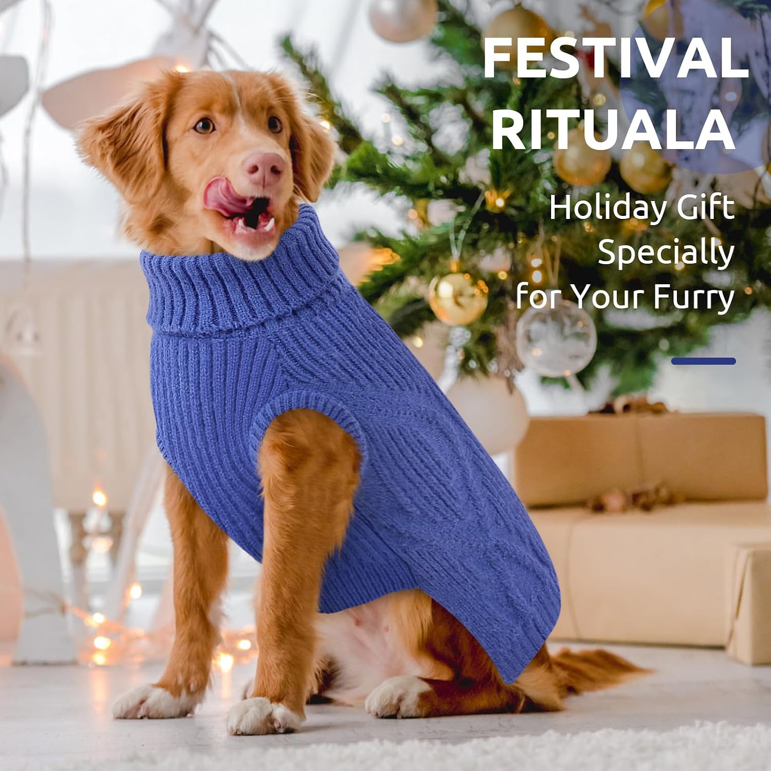 Thumbnail 6 de Queenmore Katzenpullover & Hundepullover mit Stehkragen – warm, weich und mit Rückenöffnung (Blau, XS)