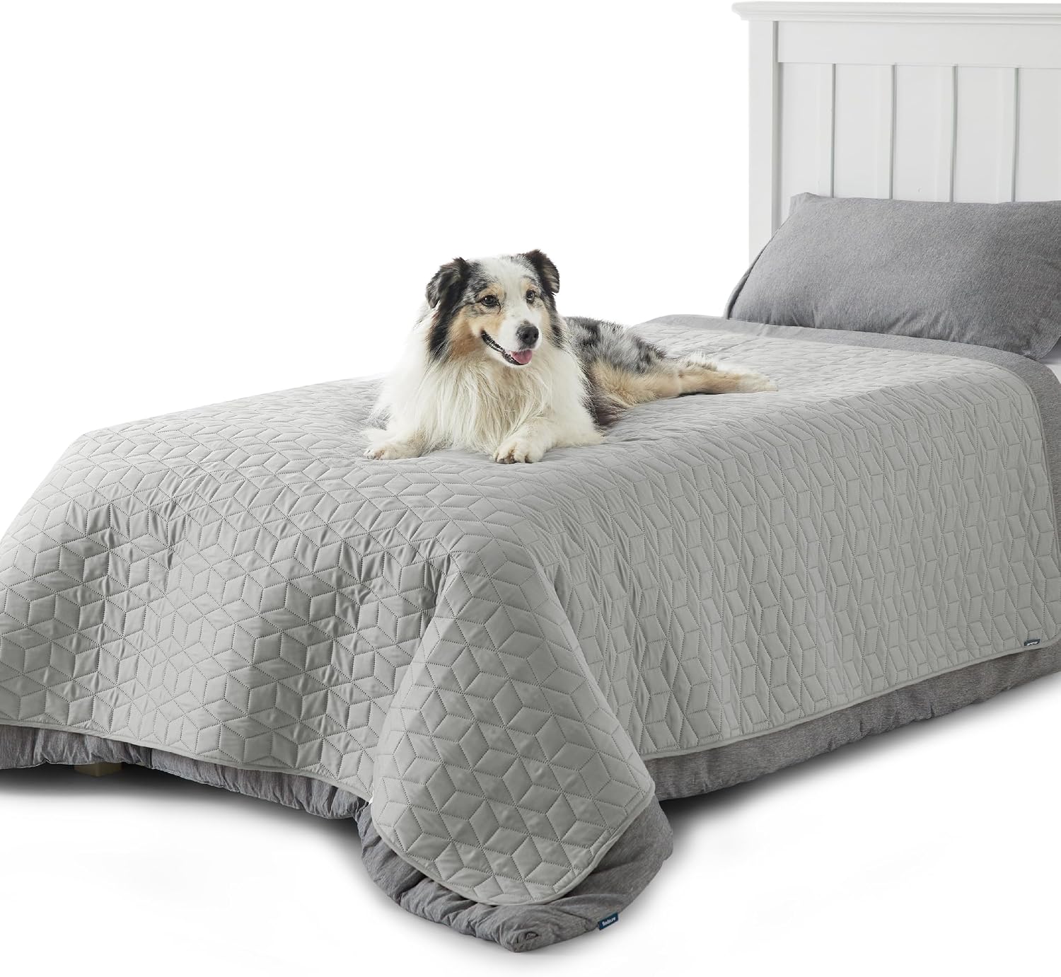 Detalle de Bedsure wasserdichte Hundedecke 173 x 208 cm – rutschfester Couchschutz mit TPU-Futter, grau