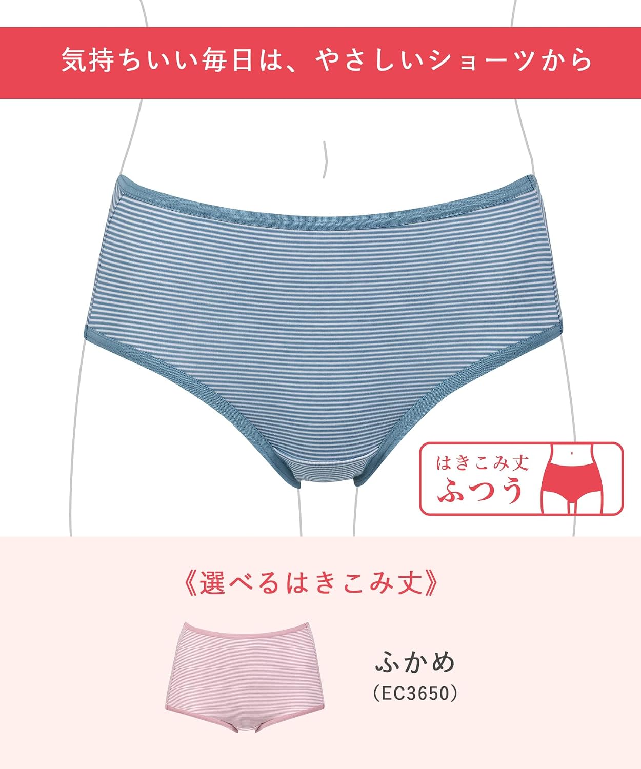 Detalle 2 de ウイング/ワコール デイリーフィット 綿混ボーダーショーツ EC2620・EC2650 はきこみ丈ふつう