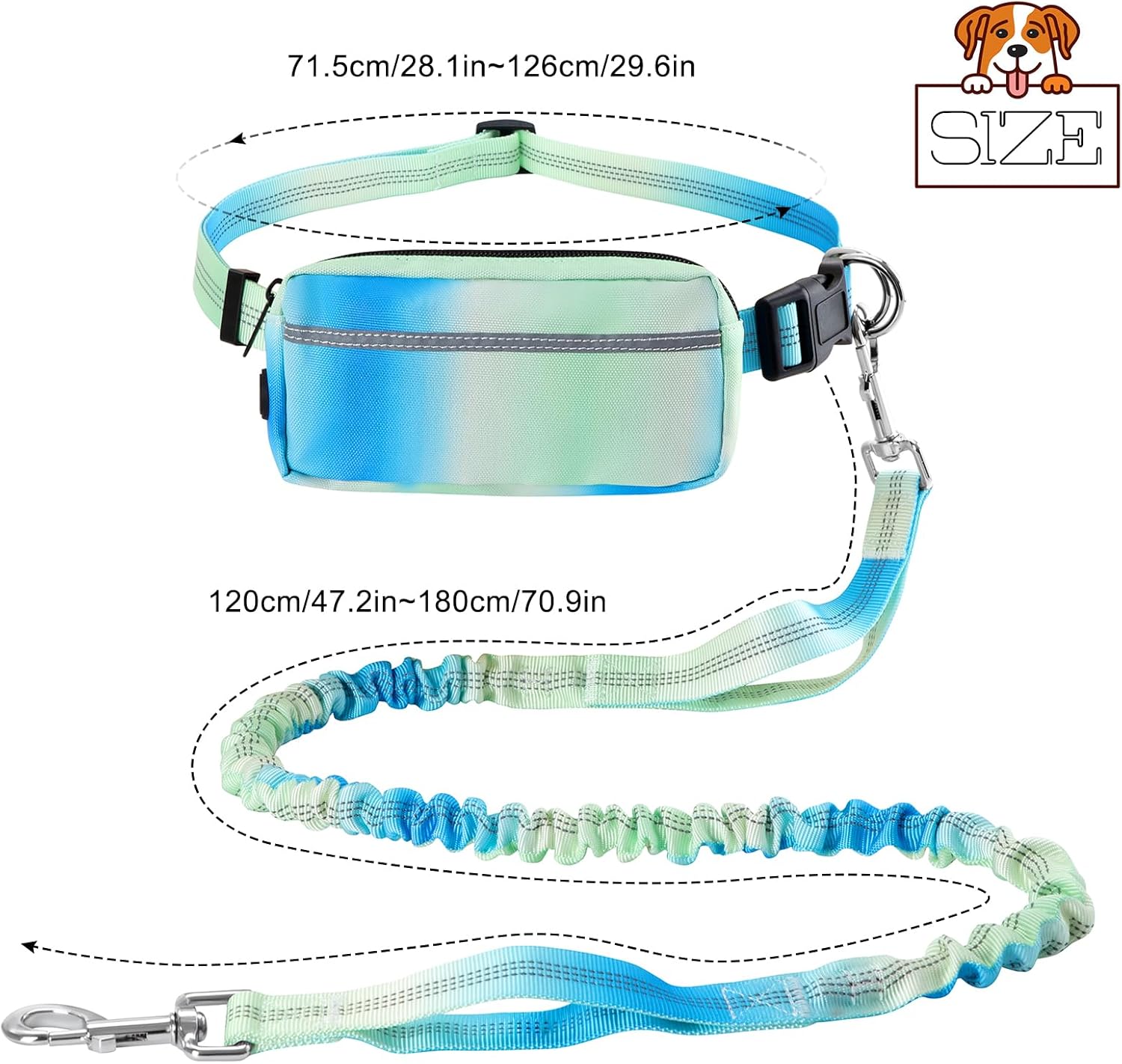 Thumbnail 6 de Joggingleine Hunde mit Bauchgurt – Laufgürtel mit verstellbarer Führleine, reflektierende Streifen (Grün)