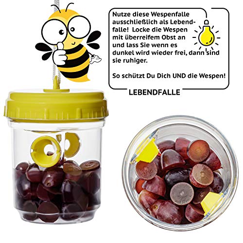 Thumbnail 6 de Kinzo Wespenfalle 3er-Set – Lebendfalle, ohne Chemie, 360° Wirkung
