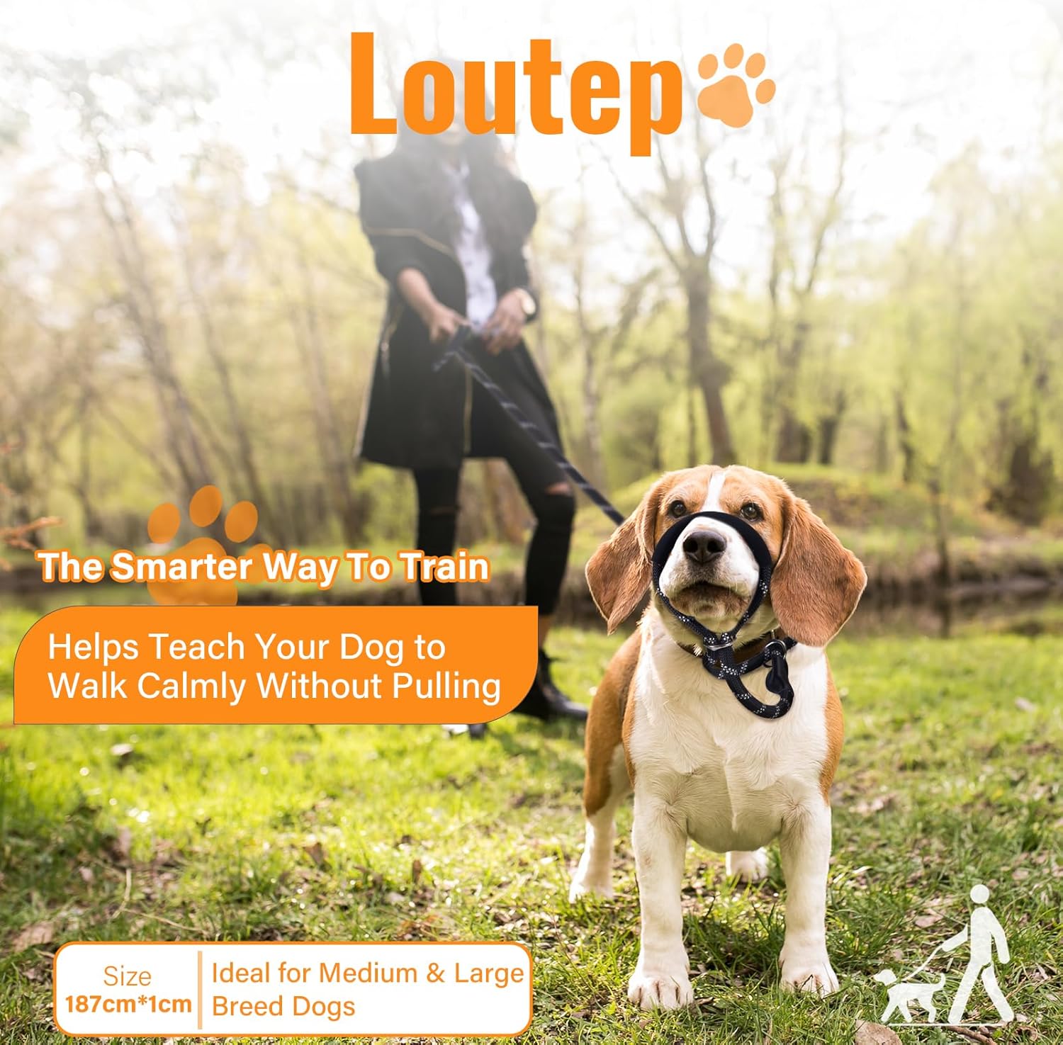 Thumbnail 1 de Loutep Figure of 8 Anti-Pull Dog Lead (187cm) with Soft Padded Nose & Reflective Stitching – Black