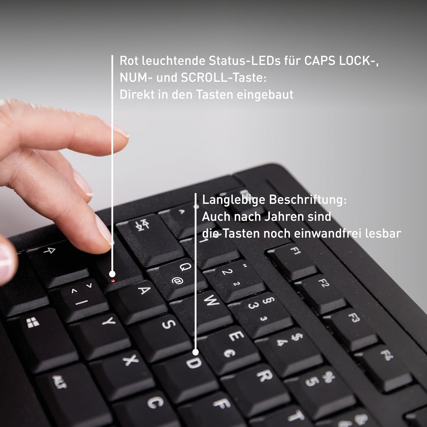 Thumbnail 5 de CHERRY Stream Keyboard QWERTZ Business