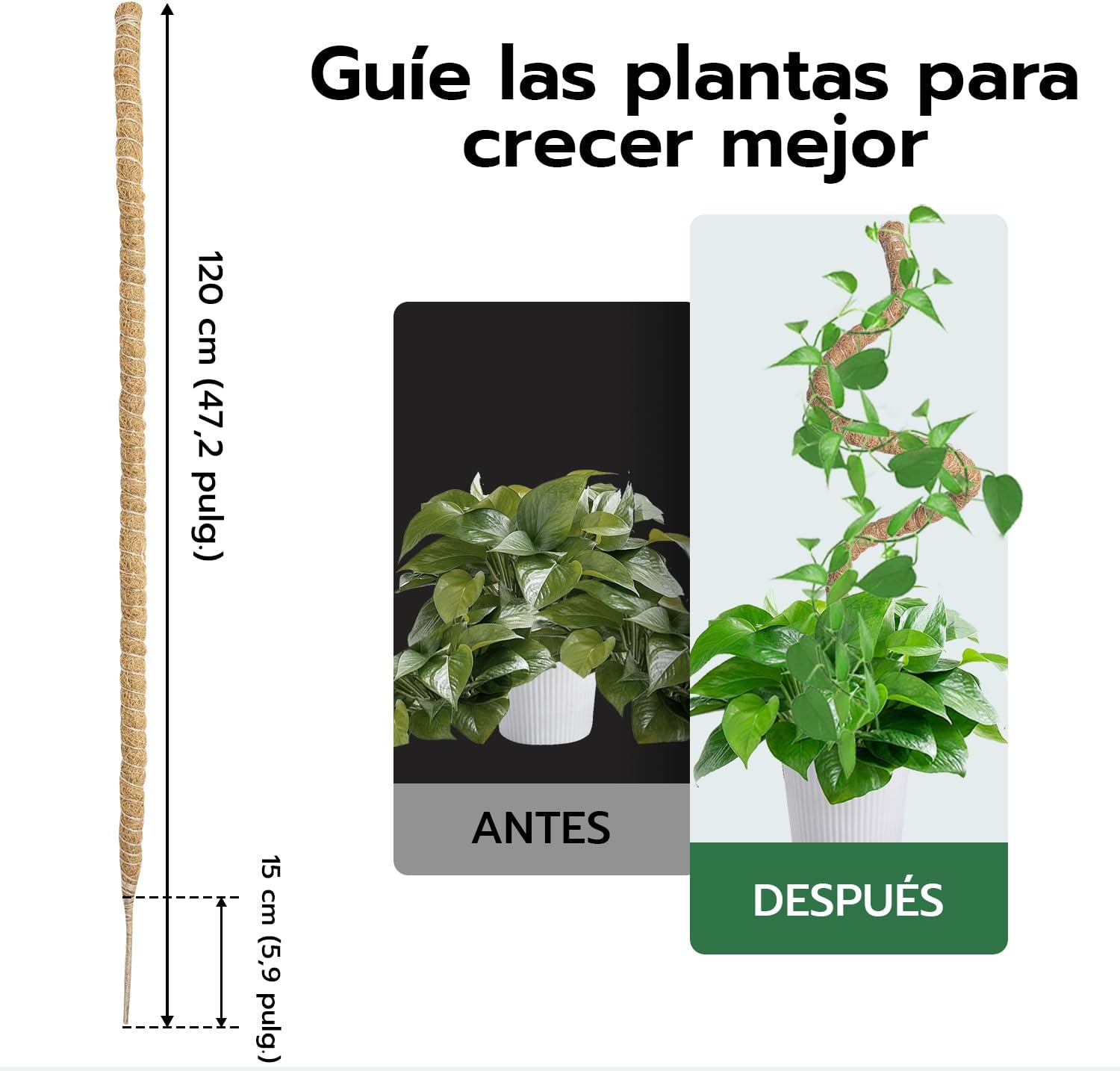 Detalle de Mcbazel Tutor de Plantas Trepadoras 120 cm